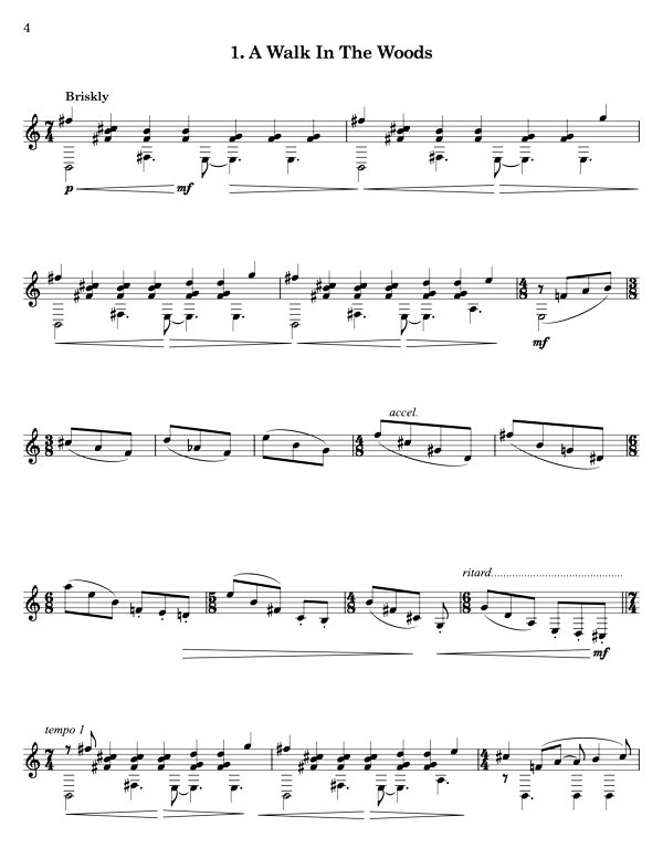 Trail Mix for 7 string classical guitar - Image 2