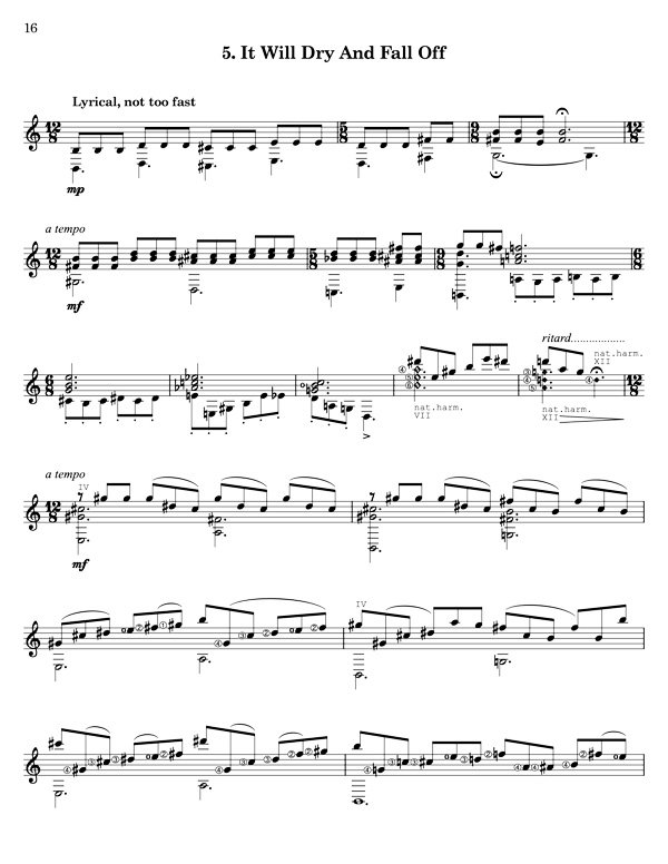 Trail Mix for 7 string classical guitar - Image 3